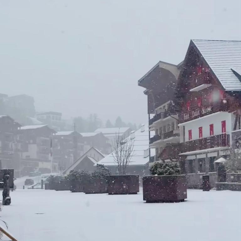 Le Green Studio Valberg 3 personnes - Studio - Vue sur Montagne - 5