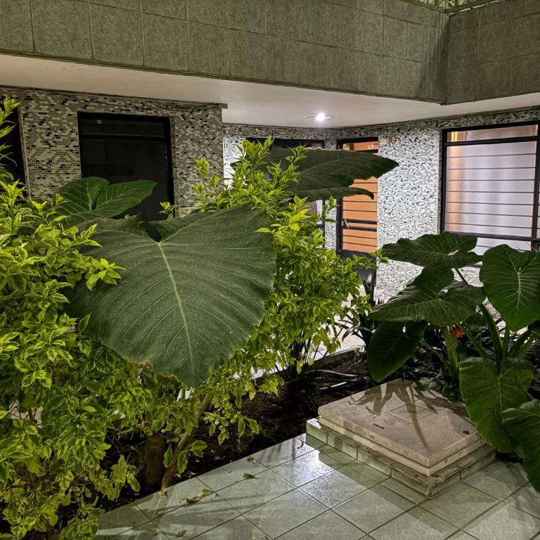 Londrés 190 - Apartamento de 1 dormitorio - 26