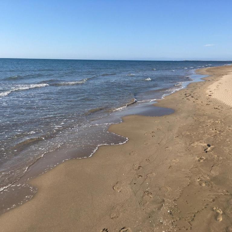 Du charme et accés à la plage à pieds - Ferienhaus - 20