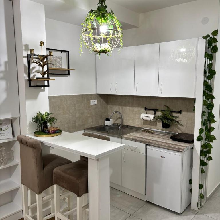 Apartman Vanila Lux Kragujevac - Apartman sa 1 Spavaćom Sobom - 9