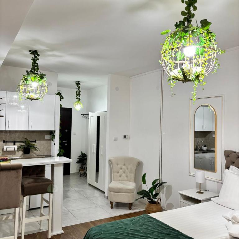 Apartman Vanila Lux Kragujevac - Apartman sa 1 Spavaćom Sobom - 4