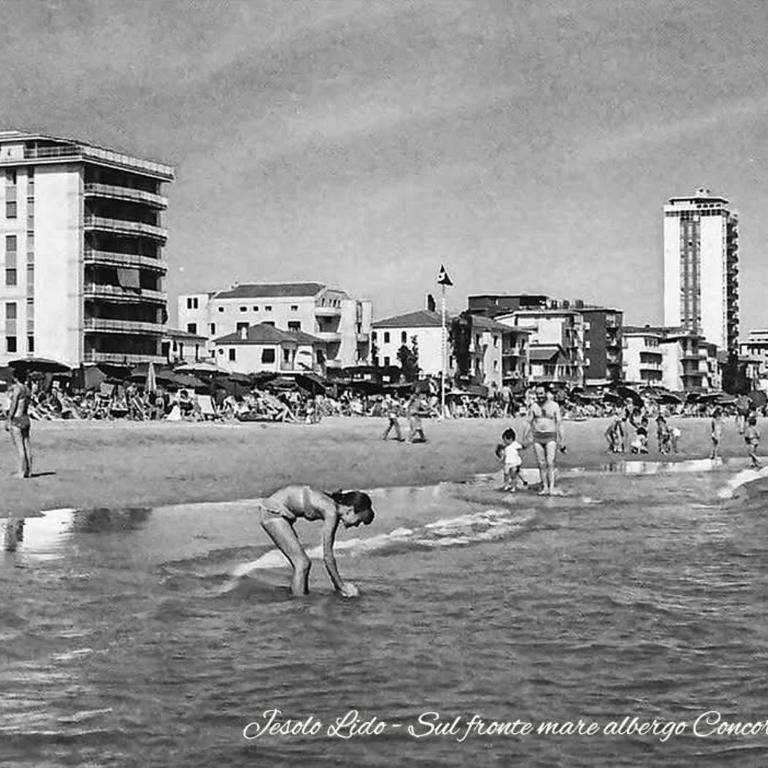 Heron apartments - Appartamento - 40
