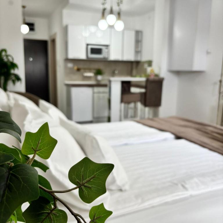 Apartman Vanila Lux Kragujevac - Apartman sa 1 Spavaćom Sobom - 19