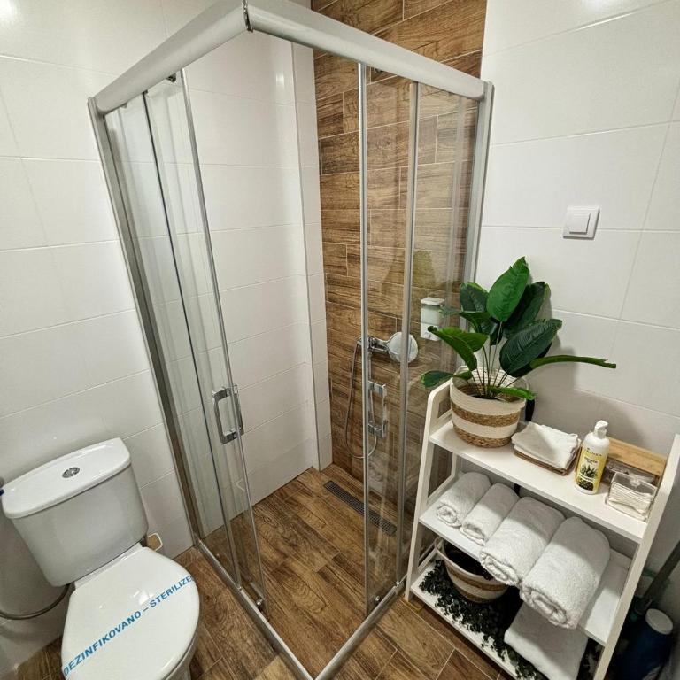 Apartman Vanila Lux Kragujevac - Apartman sa 1 Spavaćom Sobom - 25