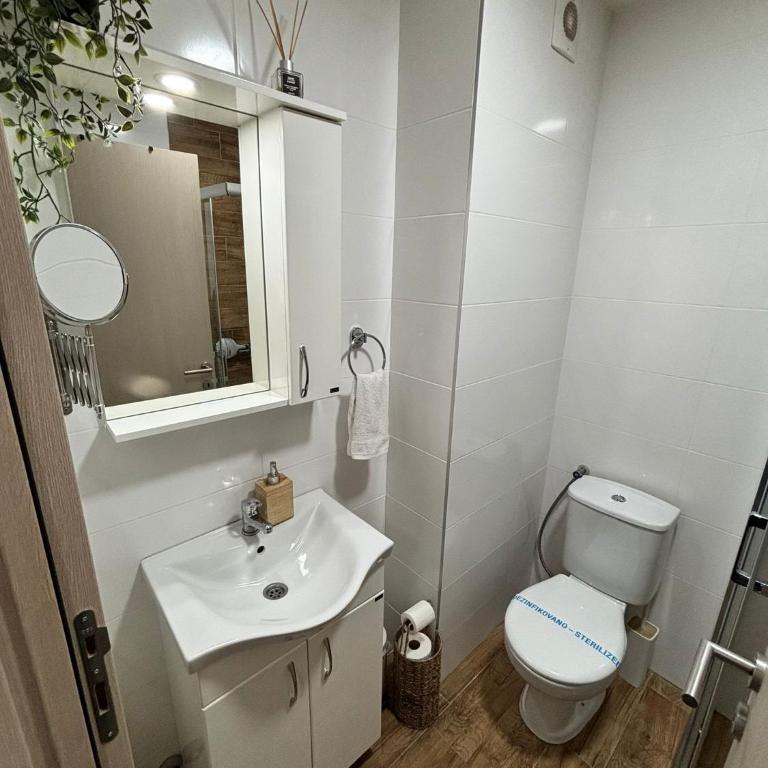 Apartman Vanila Lux Kragujevac - Apartman sa 1 Spavaćom Sobom - 24