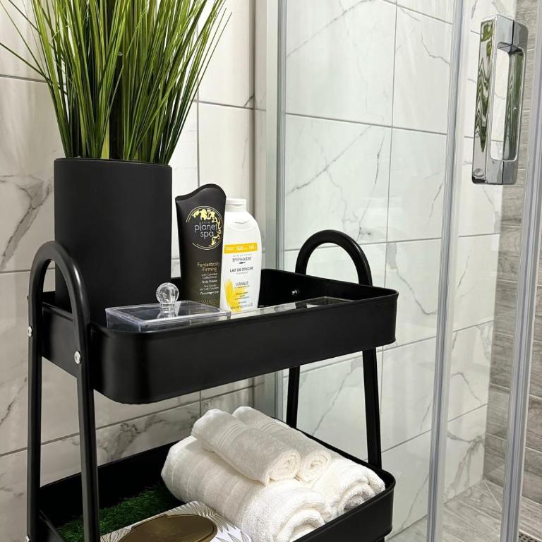 Apartman Vanila Lux Kragujevac - Apartman sa 1 Spavaćom Sobom - 13