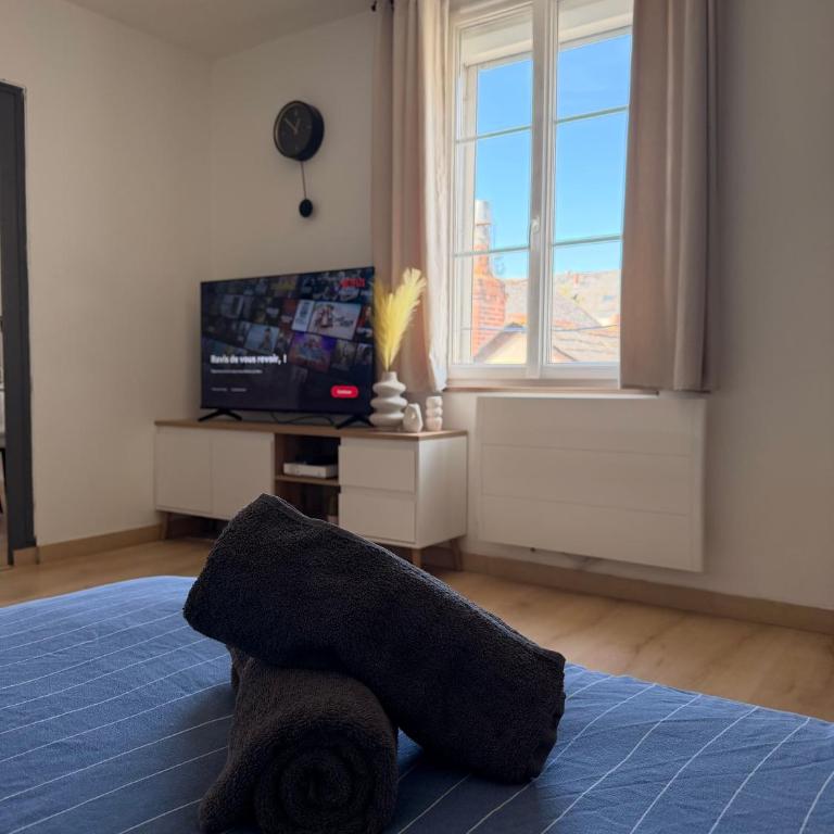 Séjour lumineux & calme en plein cœur d'Angers - Appartement 1 Chambre - 17