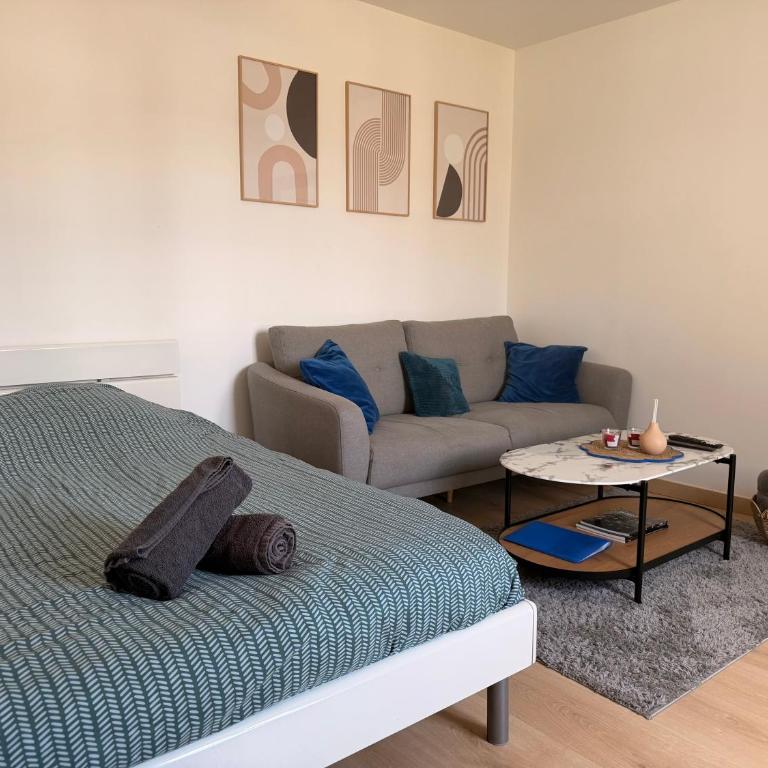 Séjour lumineux & calme en plein cœur d'Angers - Appartement 1 Chambre - 15