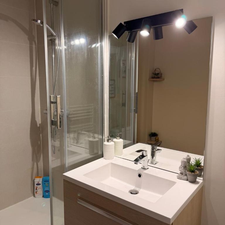 Séjour lumineux & calme en plein cœur d'Angers - Appartement 1 Chambre - 25