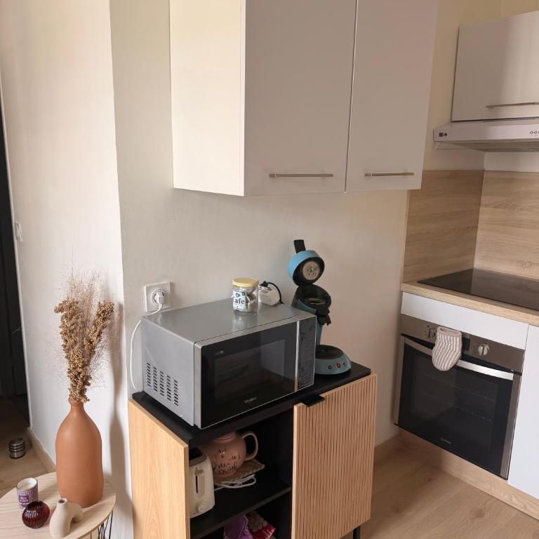 Séjour lumineux & calme en plein cœur d'Angers - Appartement 1 Chambre - 19
