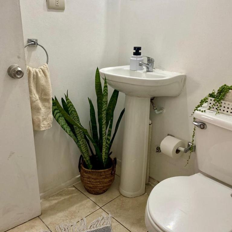 Departamento a pasos playa la herradura - Apartamento de 1 dormitorio - 9