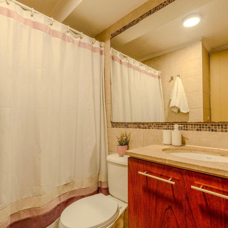 VR | Santiago Centro 2PAX parking, metro, hermoso - Apartamento de 1 dormitorio - 7