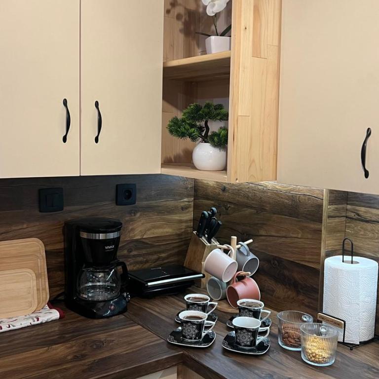 Apartments Baron Žabljak - Kuća sa 4 Spavaće Sobe - 1