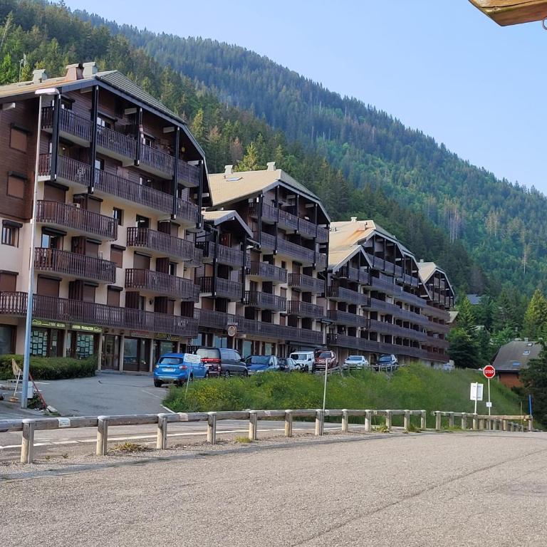 Studio Col du Corbier - Appartement 1 Chambre - 10