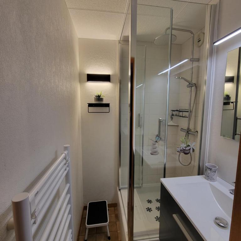 Studio Col du Corbier - Appartement 1 Chambre - 3
