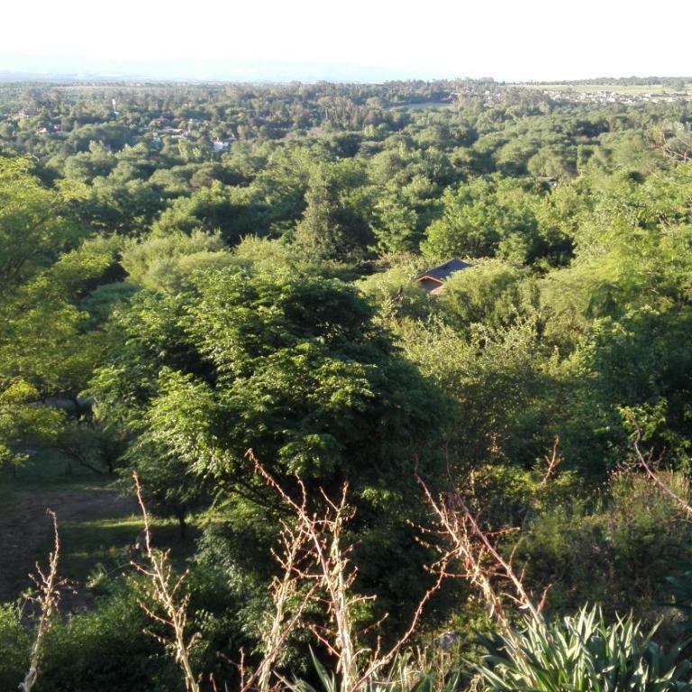 Cabañas Mirasoles - Casa - 11