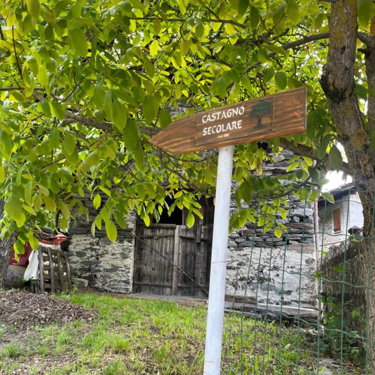 Stone House - Appartamento con 2 Camere da Letto - 3