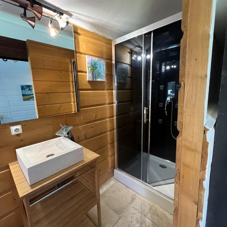 Piscine et jardin 600m2 au cœur de Hyères - Villa mit 3 Schlafzimmern - 18