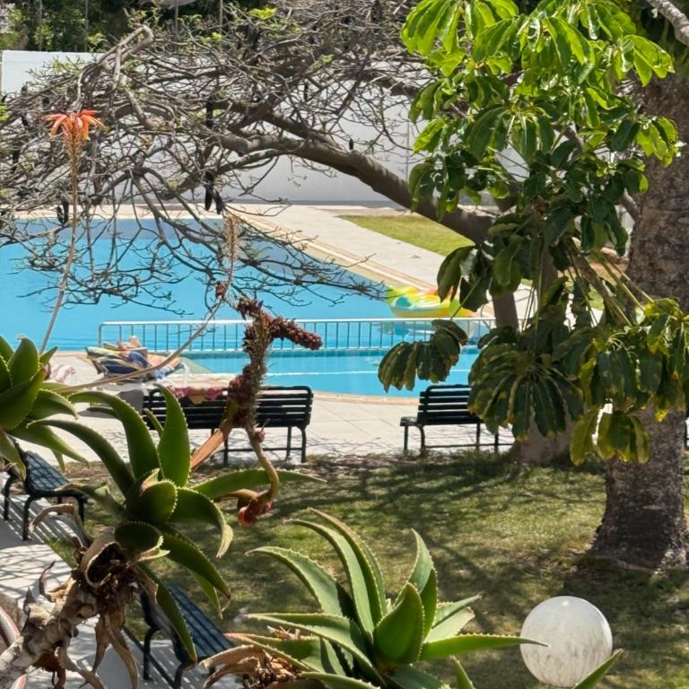 The Americas Beach - Apartamento Deluxe - 6