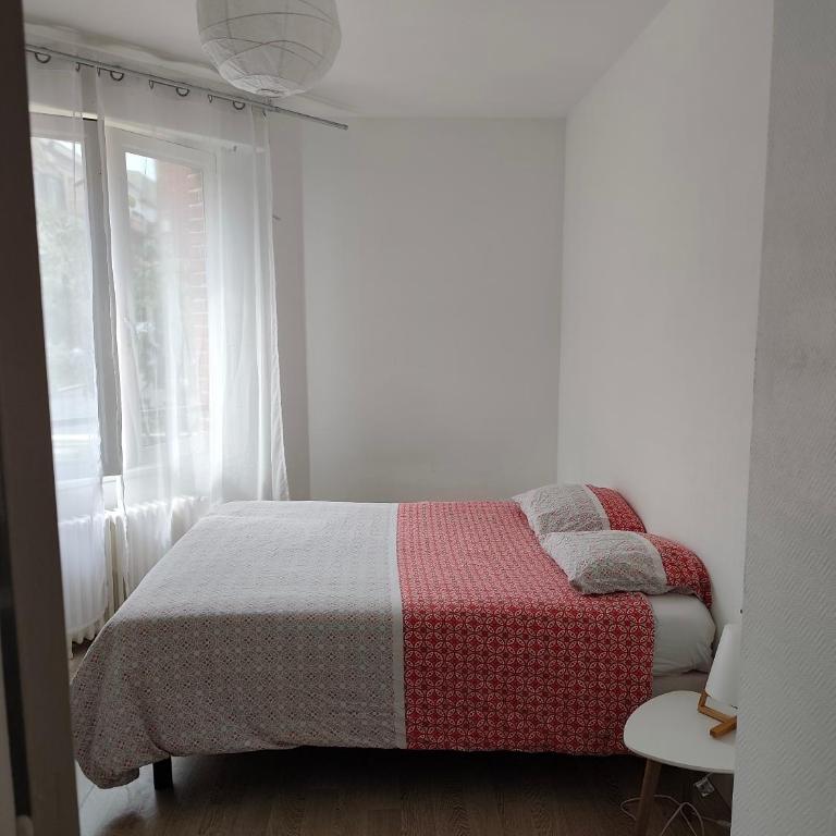Appartement spacieux cosy en hypercentre proximité Cathédrale, Coliseum - Appartement 2 Chambres - 5