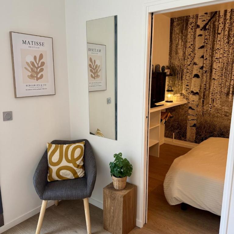Le Jacobin, Appartement plein centre - Appartement 1 Chambre - 12