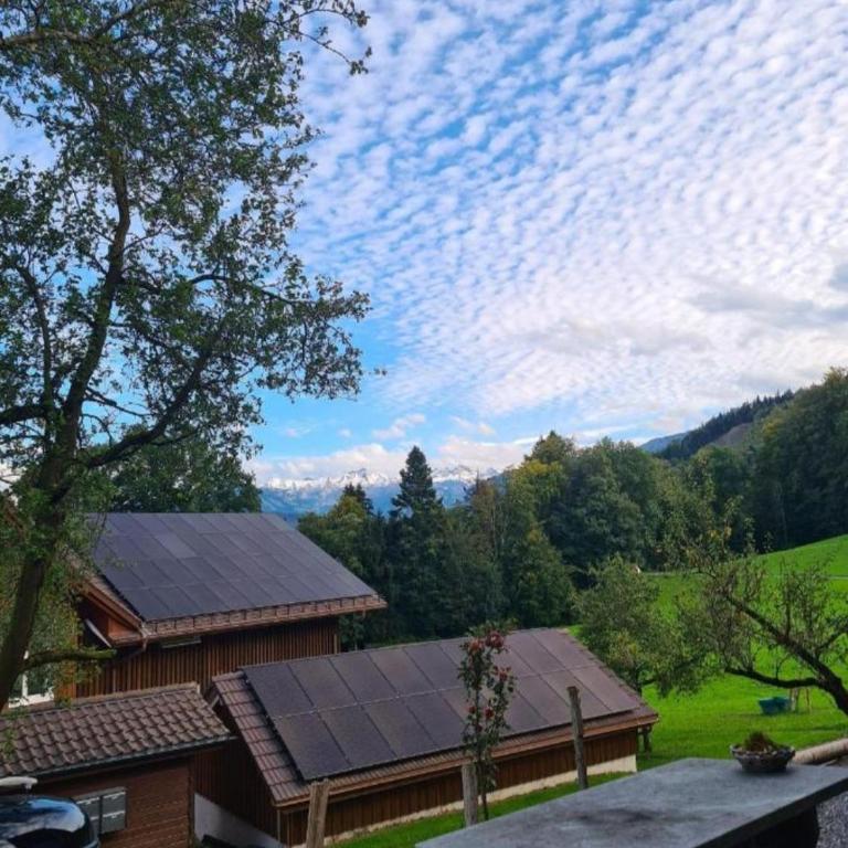 Cozy Cow Farm Lodge - Basic Dreibettzimmer - 17