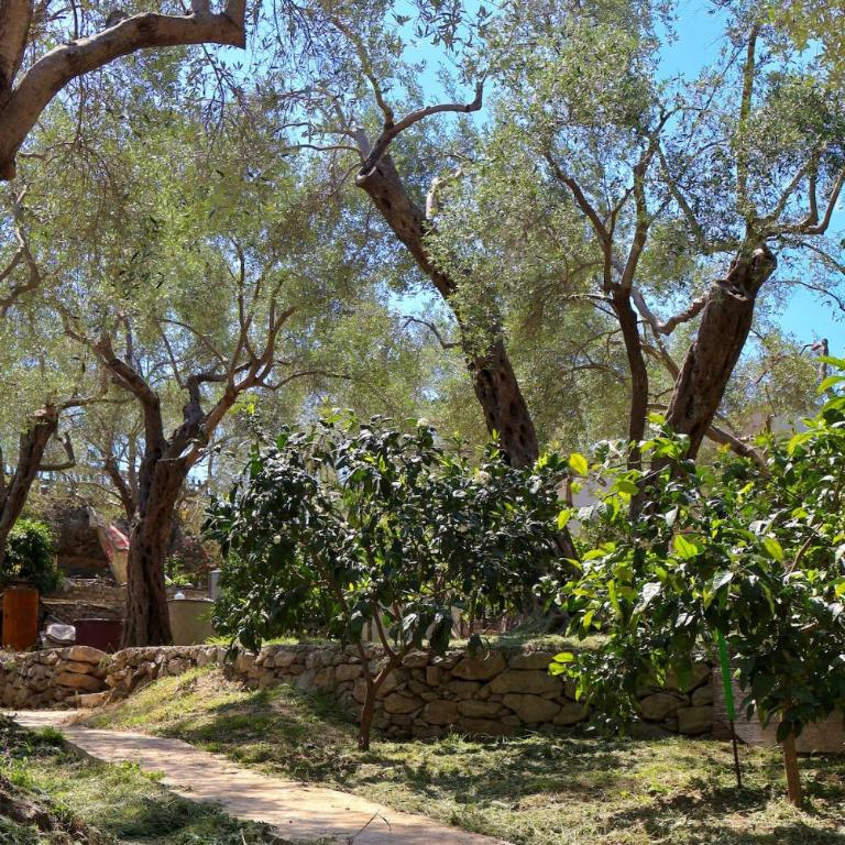 Olive Escape - Vila sa 1 Spavaćom Sobom - 1