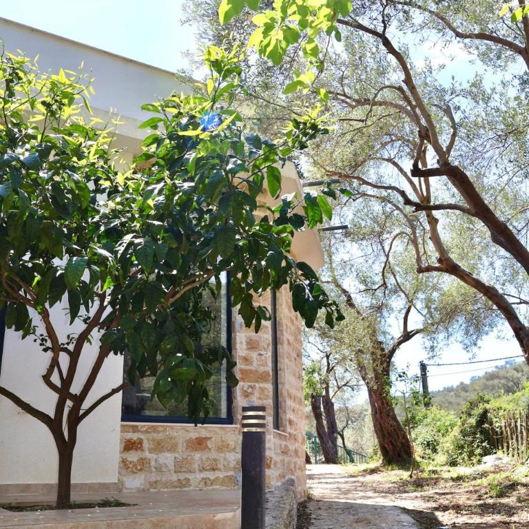 Olive Escape - Vila sa 1 Spavaćom Sobom - 2