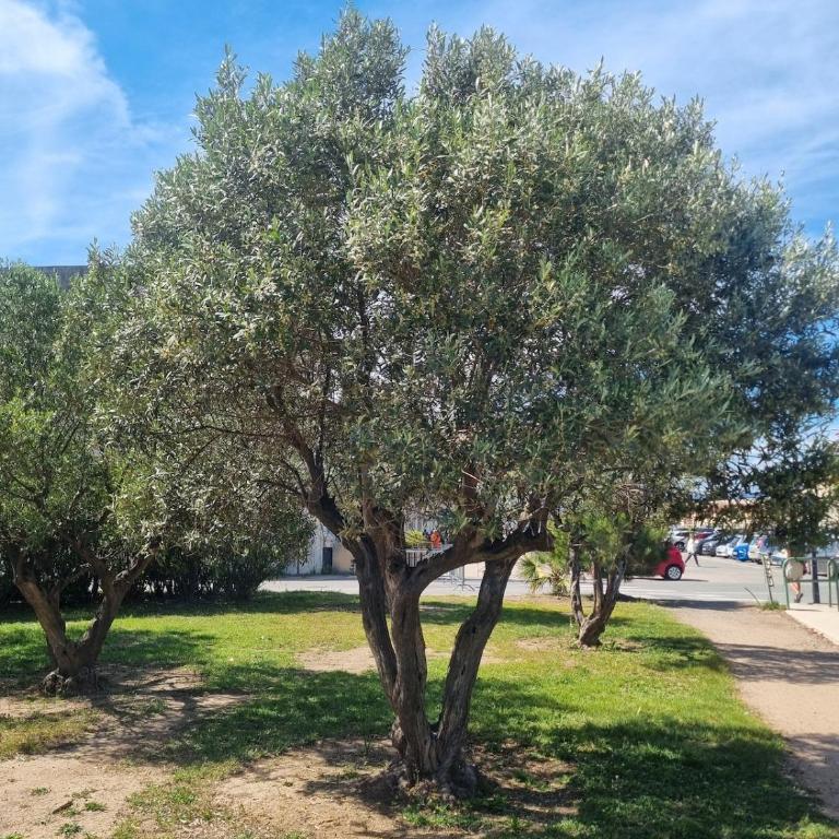 T4 Pro et Famille - Plage - Base Nature - Tout à pied - Parking - Commerces - Appartamento con 3 Camere da Letto - 24