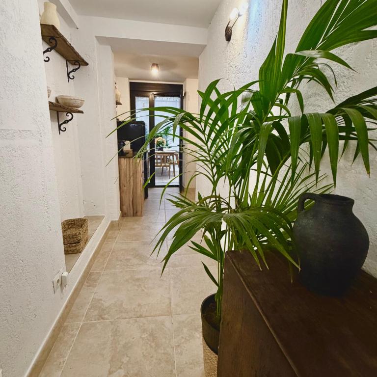 Casa Natali 1 - Apartamento de 2 dormitorios - 10