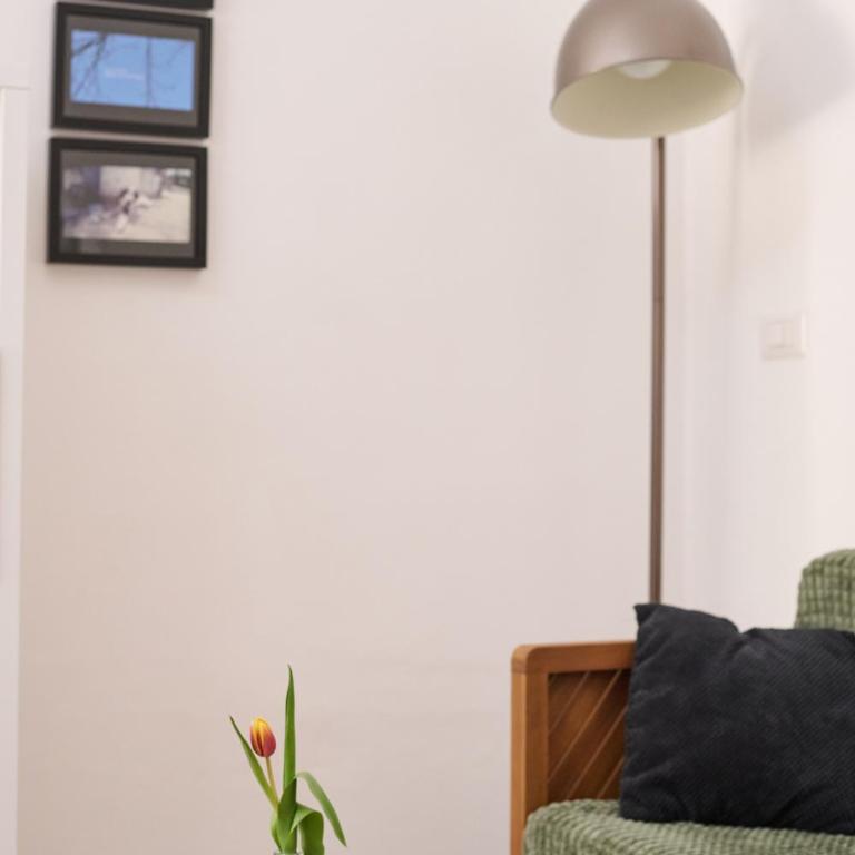 Punto Zero Apartments Siracusa - Appartamento Superior - 26