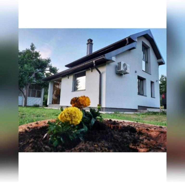 House For Rest VIN - Kuća sa 1 Spavaćom Sobom - 1