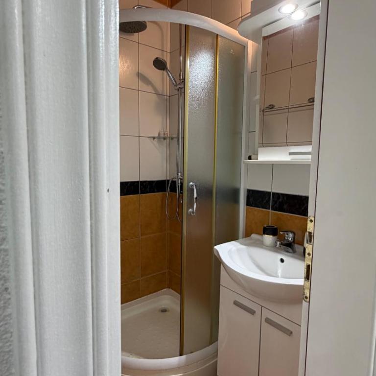 Grand Apartments Scepanovic - One-Bedroom Apartment with Terrace - 2