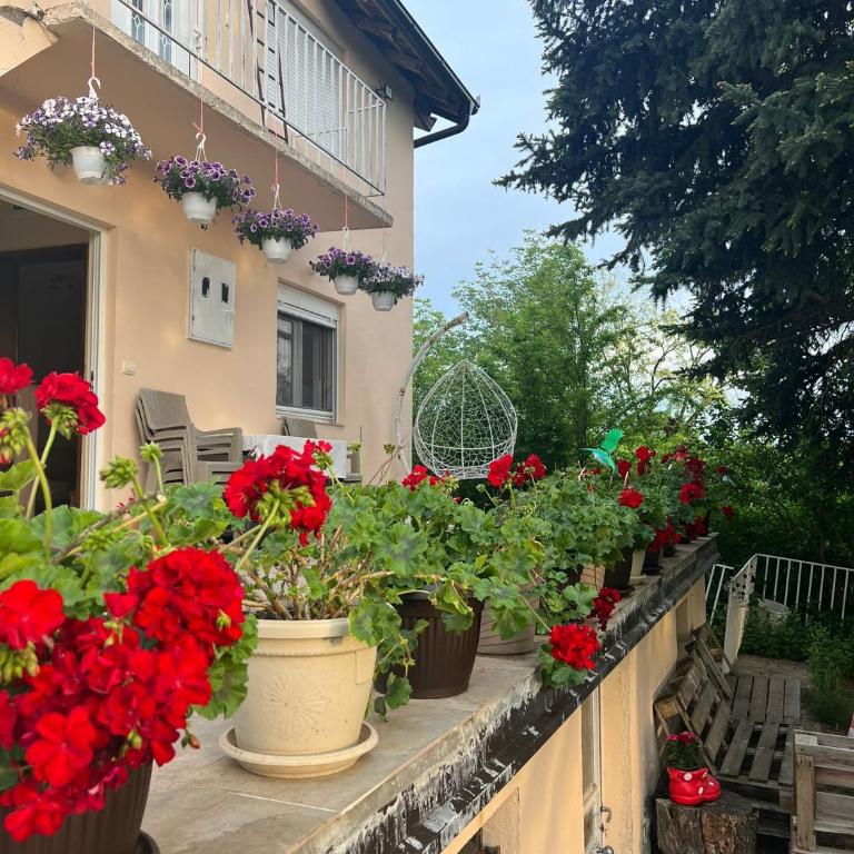 Vikendica Grabovac - One-Bedroom House - 1