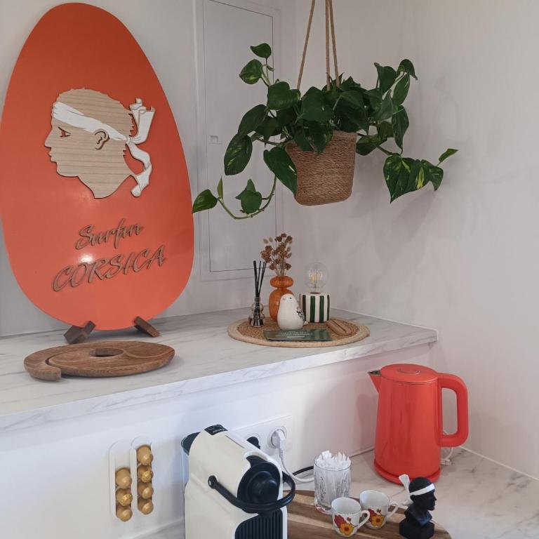 Studio Pichjettu Ajaccio - Appartamento con 1 Camera da Letto - 9