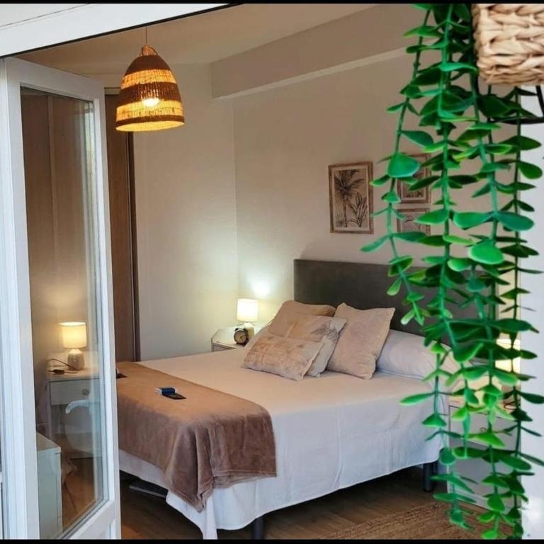 Los Sauces - Apartamento de 2 dormitorios con terraza - 21