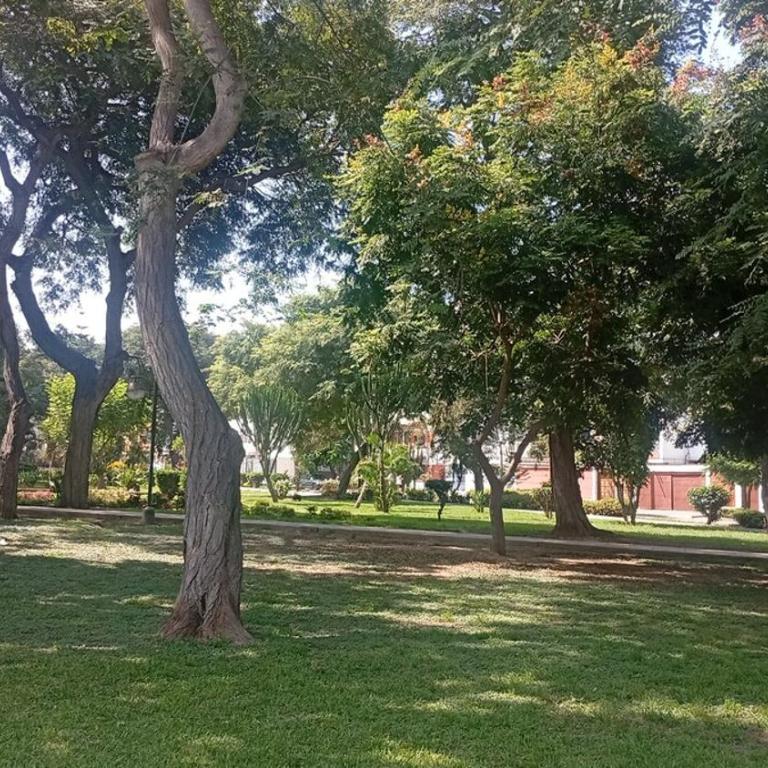 3erPiso Depa Juvenil ideal parejas hasta 5,Cerca Barranco, 2 Rooms - Three-Bedroom Apartment - 43