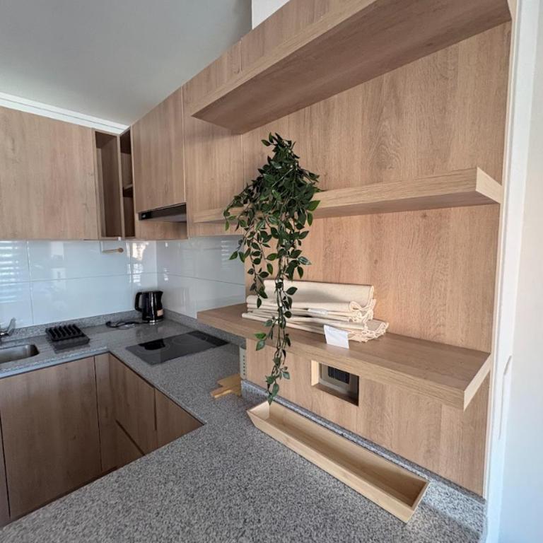 Excelente propiedad I Zona centro I Metro cercano - Apartamento de 1 dormitorio - 2