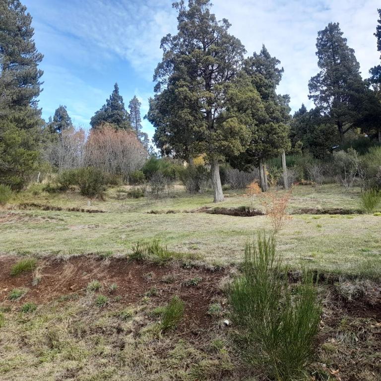 Kaiken Bariloche - Apartamento de 1 dormitorio - 14