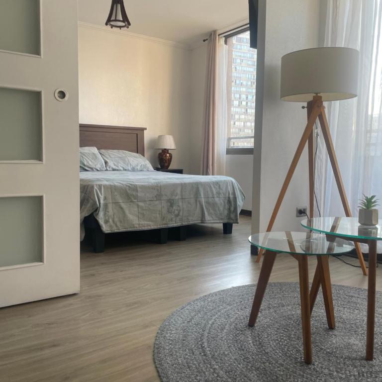 Lindo y cómodo departamento Stgo centro - Apartamento de 1 dormitorio - 3