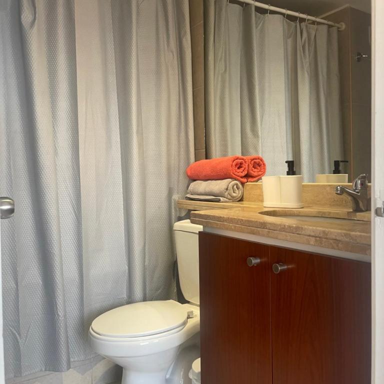 Lindo y cómodo departamento Stgo centro - Apartamento de 1 dormitorio - 6