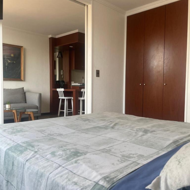 Lindo y cómodo departamento Stgo centro - Apartamento de 1 dormitorio - 7