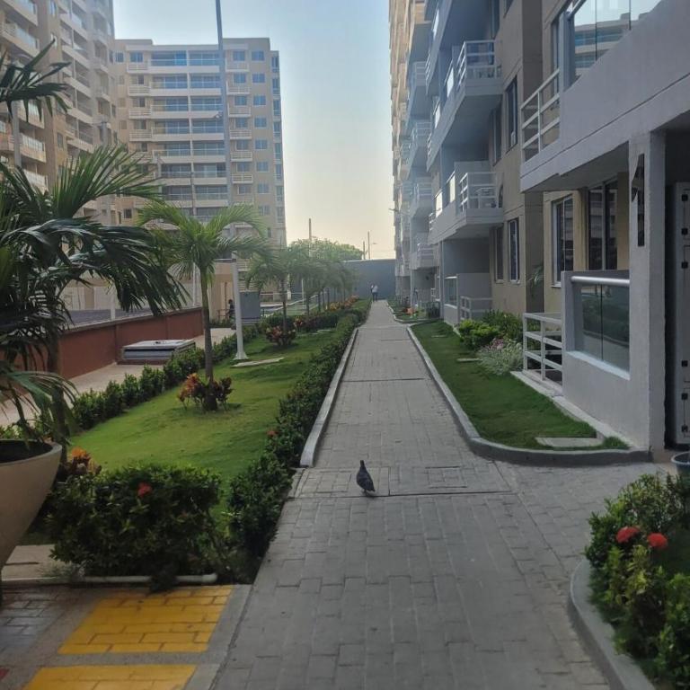 New apartment with 3 beds in solitude and pool - Apartamento de 2 dormitorios - 14