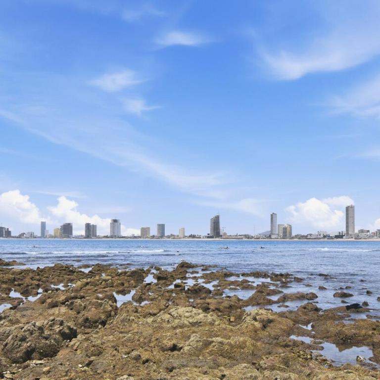 Cozy, Pinos Beach Access, lux Tower in Olas altas - One-Bedroom Apartment - 19