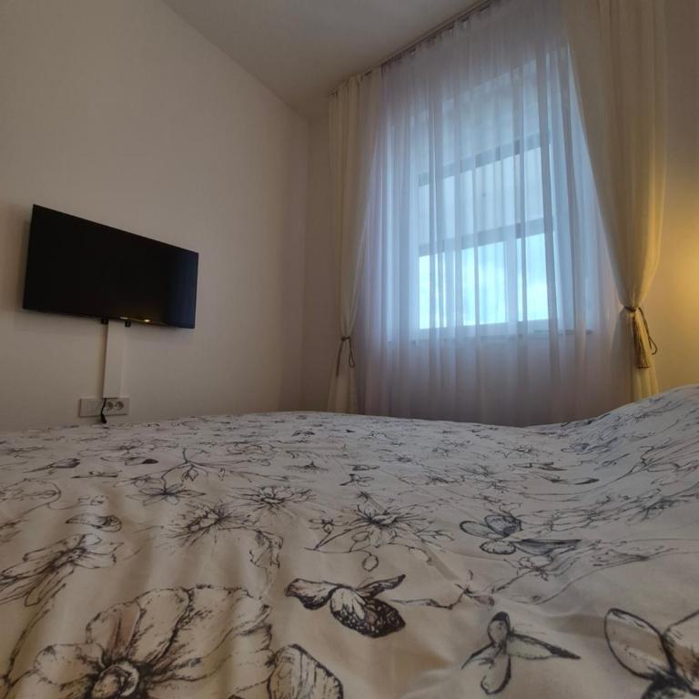 Apartman Panorama 105 - Apartman sa 1 Spavaćom Sobom - 13