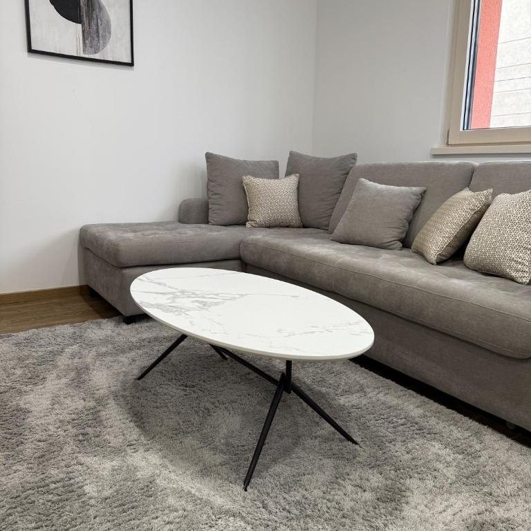Dragana Milošević - Apartman sa 1 Spavaćom Sobom - 5