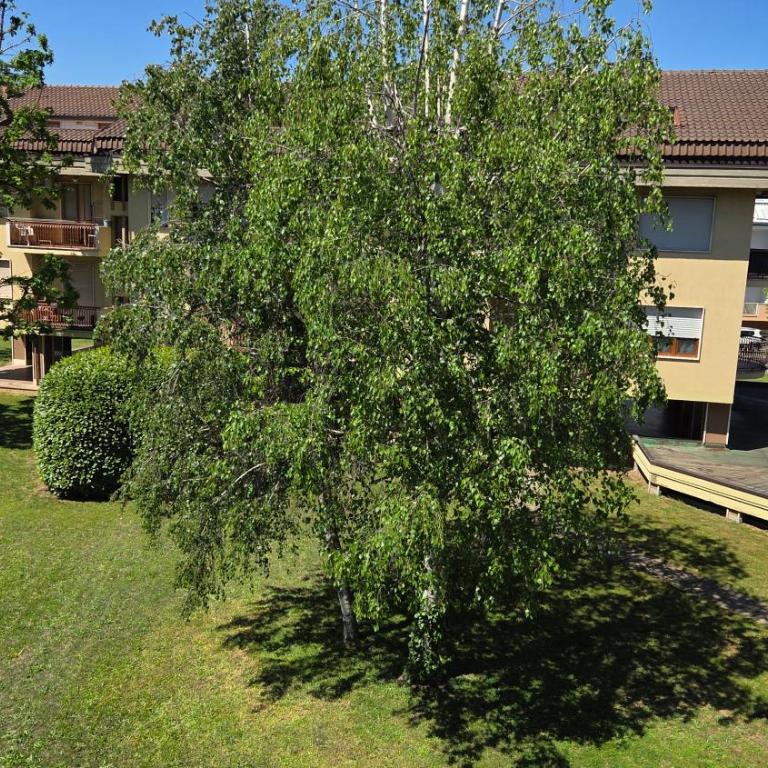 Giulietta Apartment Cuneo - Two-Bedroom Apartment - 5