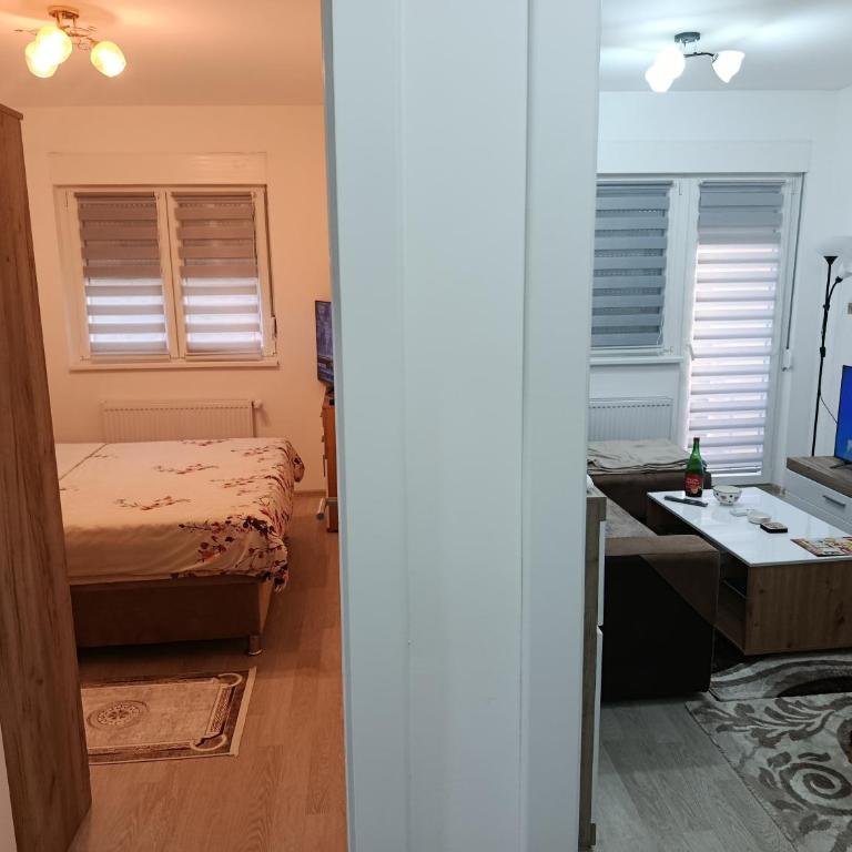 Top Spa apartman - Apartman sa 1 Spavaćom Sobom - 4