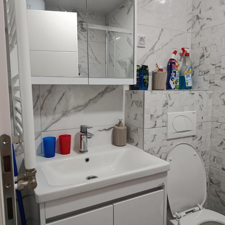 Top Spa apartman - Apartman sa 1 Spavaćom Sobom - 20
