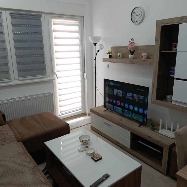 Top Spa apartman - Apartman sa 1 Spavaćom Sobom - 1